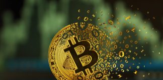 No Factor to Brief Bitcoin, On-Chain Expert Describes Why