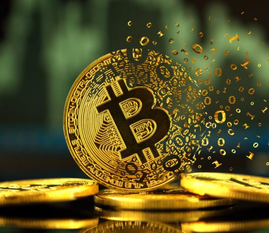 No Factor to Brief Bitcoin, On-Chain Expert Describes Why