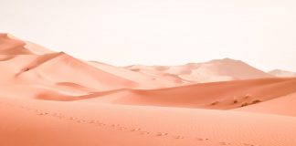 Bitcoin Practically Taps $28,000 in Ongoing Vacation Rally