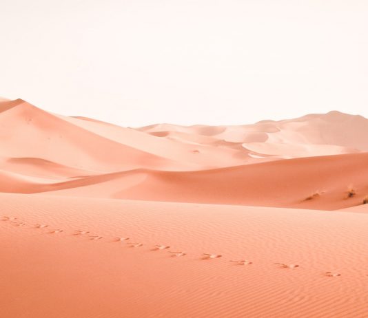 Bitcoin Practically Taps $28,000 in Ongoing Vacation Rally