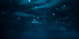XRP Loses Much More Exchange Assistance as Unpredictability Continues