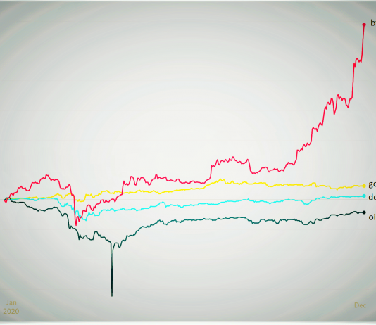 Bitcoin carried out 10 times much better than gold in 2020