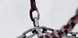 Information Reveals New Investors Flooded into Chainlink in 2020; Benefit Imminent?