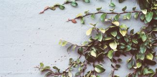 SushiSwap (SUSHI) Goes Through 10% Rally Regardless Of Ethereum Drop