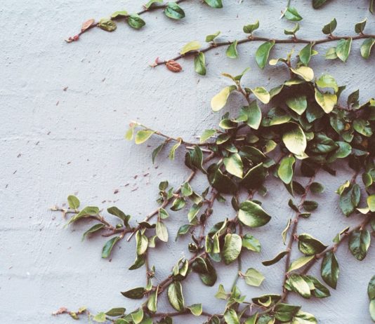 SushiSwap (SUSHI) Goes Through 10% Rally Regardless Of Ethereum Drop