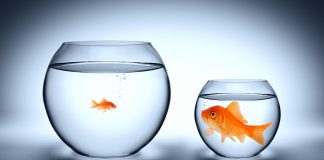 Ethereum “Anti-Network Impact” Reveals “DeFi Has Actually Grown Out Of” The Altcoin