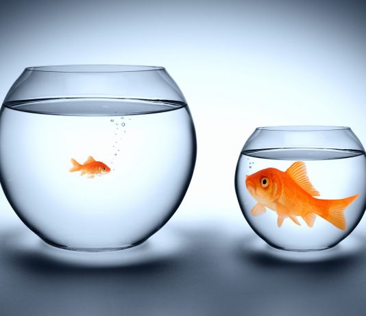 Ethereum “Anti-Network Impact” Reveals “DeFi Has Actually Grown Out Of” The Altcoin