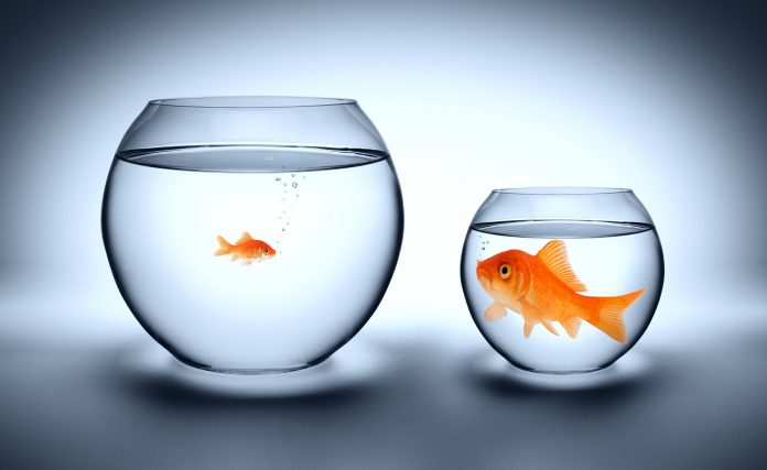Ethereum “Anti-Network Impact” Reveals “DeFi Has Actually Grown Out Of” The Altcoin Ethereum “Anti-Network Impact” Reveals “DeFi Has Actually Grown Out Of” The Altcoin