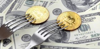 Kim Dotcom Claims This Fork Is More Undervalued Than Bitcoin, Here’s Why