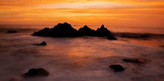 Bitcoin Simply Passed $37 k– and Experts State the Bottom May Remain In