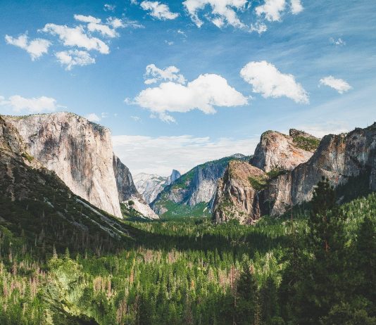 Yearn.finance Creator Andre Cronje Drops Hints About v2 Vaults Yearn.finance Creator Andre Cronje Drops Hints About v2 Vaults