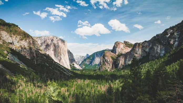 Yearn.finance Creator Andre Cronje Drops Hints About v2 Vaults