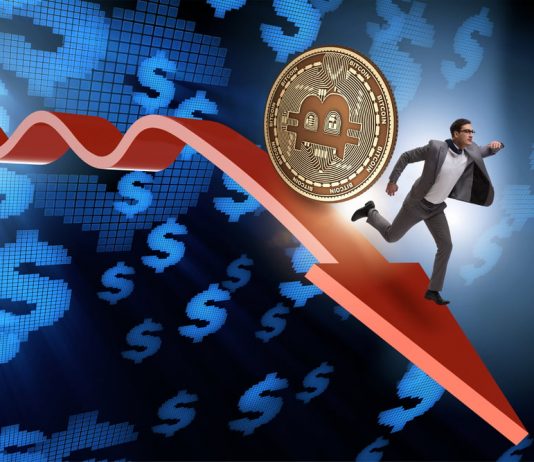 Bitcoin En Path to $30,000 After Cost Falls ~12% in a Day; Here’s Why