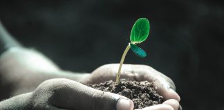 The DeFi Powerhouse That Keeps Growing