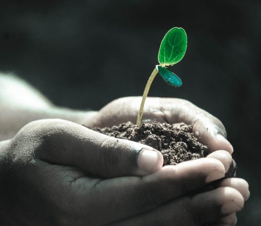 The DeFi Powerhouse That Keeps Growing