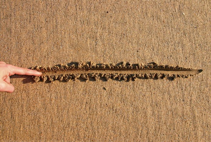 Here’s The Line Separating Bitcoin Supremacy From Altcoin Season