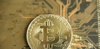 Sats Statistics: Bitcoin Grows 37 x In 4 Years From Today Sats Statistics: Bitcoin Grows 37 x In 4 Years From Today