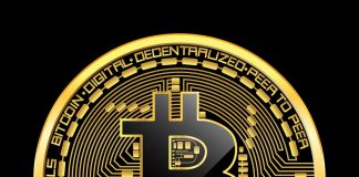 German Scammer Declines to Offer Authorities Passwords to $60 M Bitcoin Wallet German Scammer Declines to Offer Authorities Passwords to $60 M Bitcoin Wallet