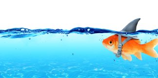 Altcoins Bleed After Tesla Bitcoin Purchase, BTC Supremacy Hints At Deceptiveness