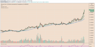 BNB Strikes Another Record Level as Binance Invests $2.4 M in Plasm