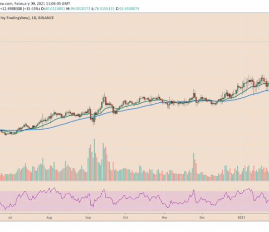BNB Strikes Another Record Level as Binance Invests $2.4 M in Plasm