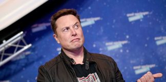 No, Elon Musk, there is absolutely nothing ‘cool’ about exploring on animals