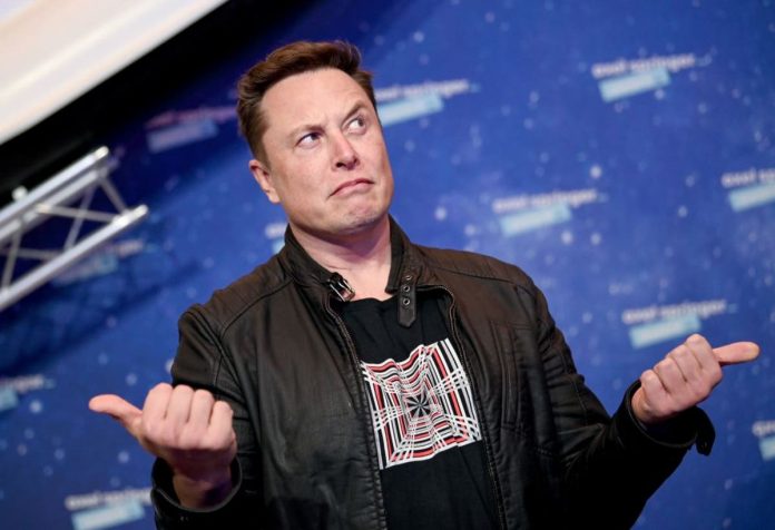 No, Elon Musk, there is absolutely nothing ‘cool’ about exploring on animals
