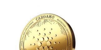 3 Reasons that 2021 is Forming up to be The Year of Cardano