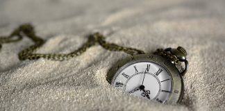 How DAFI Procedure Benefits Long-Term Token Holders and Supports Sustainable Job Development