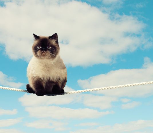 Uniswap’s UNI Hung After Striking Record High; Breakdown Dangers Continue