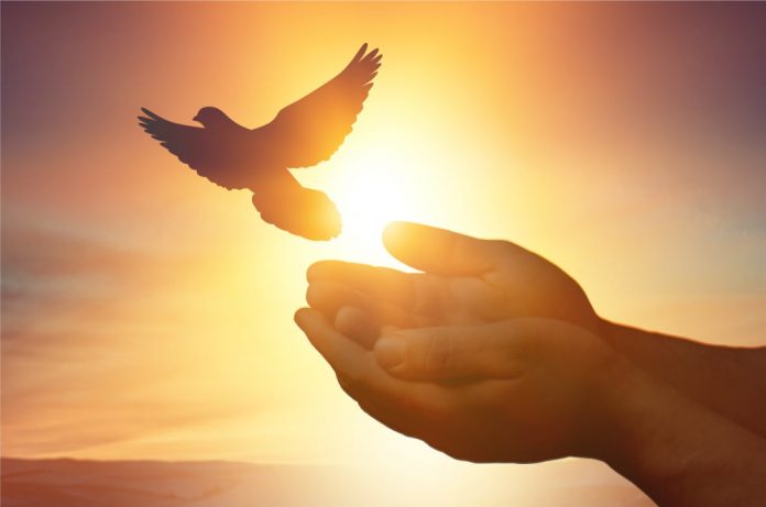 TA: Ethereum Dips Listed Below $1,800, Why Bulls Are Still In Control