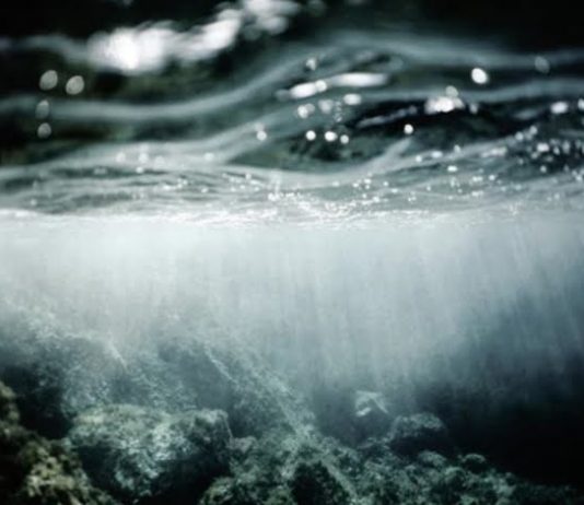 a16 z, Mark Cuban invest $23 million in NFT platform OpenSea