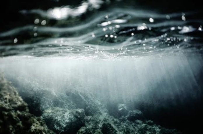 a16 z, Mark Cuban invest $23 million in NFT platform OpenSea