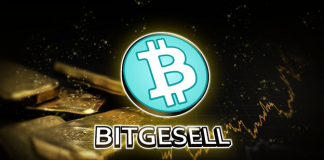 Bitgesell, the New Digital Gold’s First Halving Simply Took Place Bitgesell, the New Digital Gold’s First Halving Simply Took Place