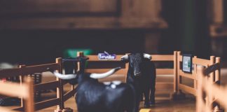 Up 138% in one week, is Filecoin bound for a crash?