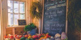 Kevin O’Leary Forecasts Development of Unique Tidy vs. Unclean Bitcoin Markets Kevin O’Leary Forecasts Development of Unique Tidy vs. Unclean Bitcoin Markets