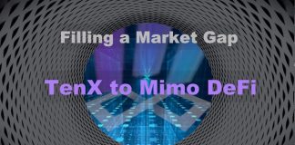 Filling a Market Space: Heart of TenX Journey to Mimo DeFi