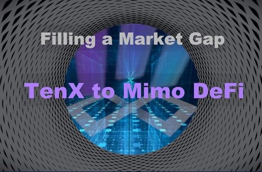 Filling a Market Space: Heart of TenX Journey to Mimo DeFi