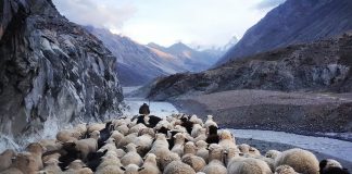 Coinbase Impact: Is Crypto Ready For The Inbound Herd?