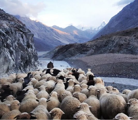 Coinbase Impact: Is Crypto Ready For The Inbound Herd?