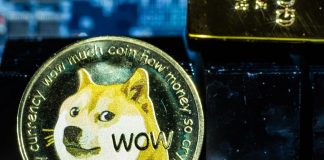 Dogecoin rate quadruples as Elon Musk memes drive cryptocurrency to brand-new record high