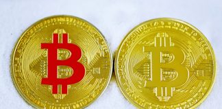 Why A Reserve Bank of China Authorities Said Bitcoin Has Significant Function in the Future