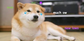 The 2 Signals That State Dogecoin Holders Remain In For “Much Ow”