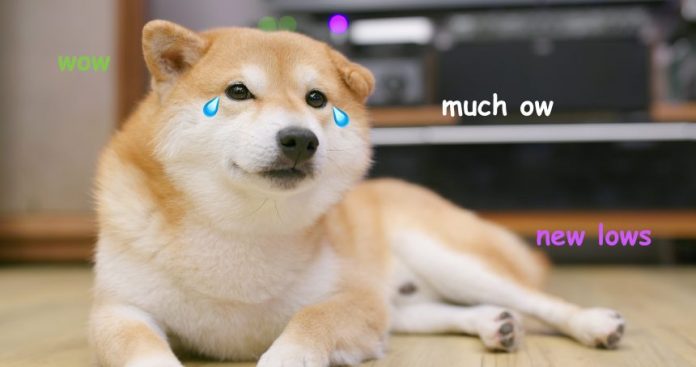 The 2 Signals That State Dogecoin Holders Remain In For “Much Ow”