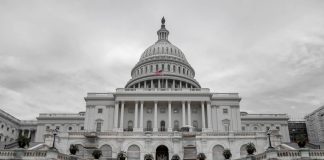 Why The Crypto Market Might Face A Crackdown, states Cardano’s Creator