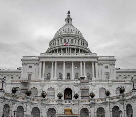 Why The Crypto Market Might Face A Crackdown, states Cardano’s Creator
