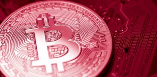 Bitcoin cost crash: Half a trillion dollars cleaned from crypto market as btc falls listed below $50 k