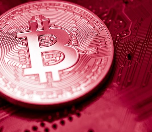 Bitcoin cost crash: Half a trillion dollars cleaned from crypto market as btc falls listed below $50 k