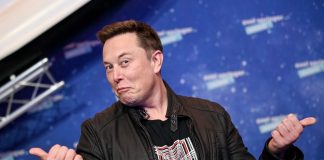 Bitcoin cost live: Crypto market rises as ethereum strikes brand-new all-time high and Elon Musk backs Dogecoin