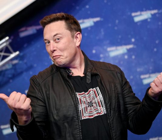 Bitcoin cost live: Crypto market rises as ethereum strikes brand-new all-time high and Elon Musk backs Dogecoin
